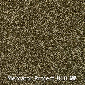 Interfloor Mercator Project Econyl 810