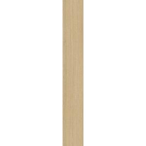 Moduleo Roots Glyde Oak 22219 hout