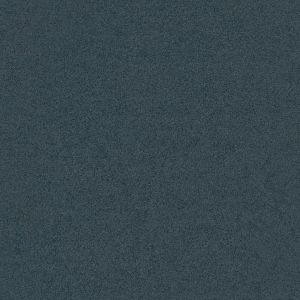 Ambiant Nevada Blauw 0700 400cm