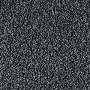 Bonaparte Vincent 294 400cm