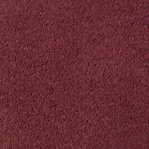 Desso Asteranne 2111 400cm