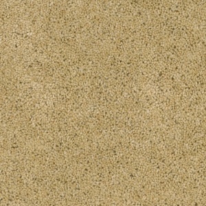 Desso Excellent 273 400cm