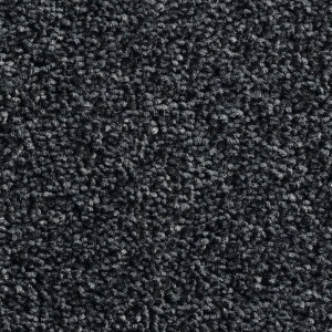 BTS droogloopmat Byson kleur 55 200cm