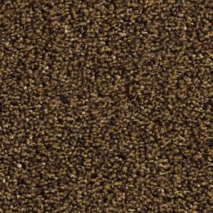 BTS droogloopmat Byson kleur 65 130cm
