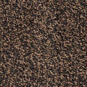 BTS droogloopmat Byson kleur 85 200cm