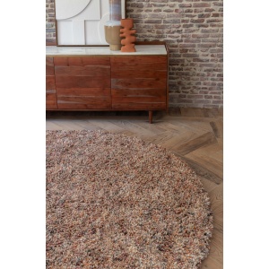 Brinker Salsa Fox 16 200x300