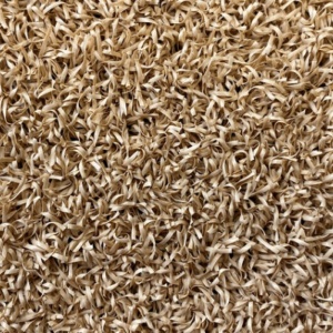 Hamat 446 Colourfull Grass Sandy beach 032 200cm