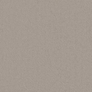 Ambiant Dallas beige 0400 400 cm