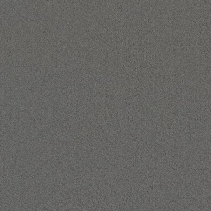 Ambiant Dallas donkergrijs 0101 400 cm