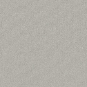 Ambiant Durham lichtgrijs 0165 400cm