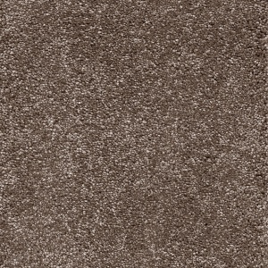 Interfloor Verdi SDN 555 500cm