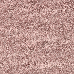 Montinique Presto 10 400cm