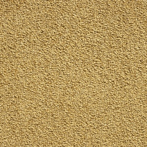 Montinique Presto 50 400cm