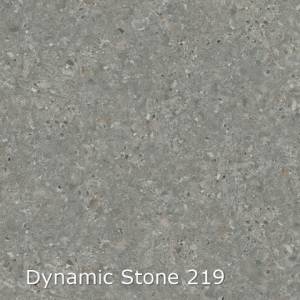 Interfloor Dynamic stone 219 Kiezeldonkergrijs