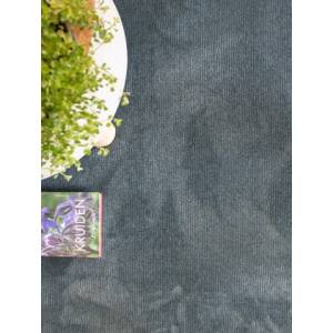 Interfloor Sienna 997 Blauw