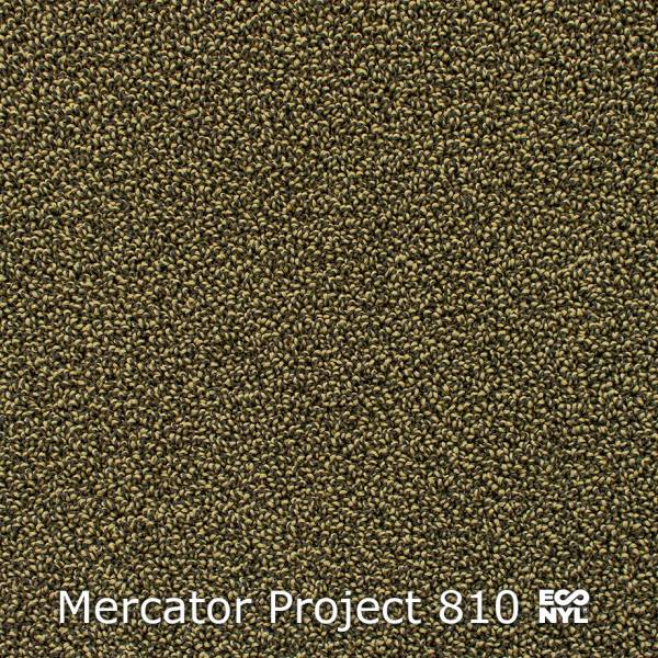 Interfloor Mercator Project Econyl 810