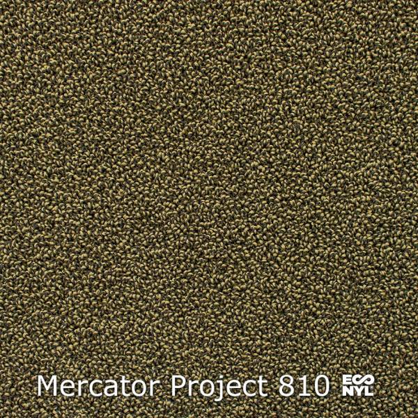 Interfloor Mercator Project Econyl 810