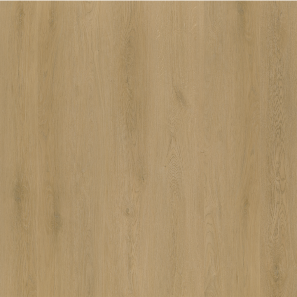 Ambiant Navaro Light Oak Click 7613 5,0 mm
