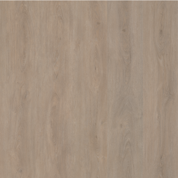 Ambiant Robusto Light Oak Click 2556 7 mm