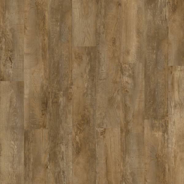 Moduleo Roots Country Oak 24842 hout