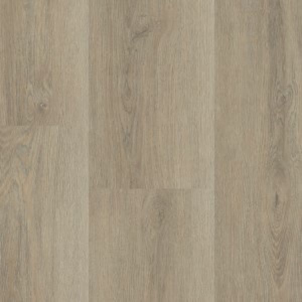 Montinique Charente XL plank 5545 Rigid Click