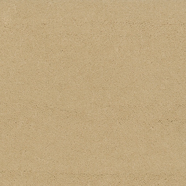 Bonaparte Montana 471 400cm