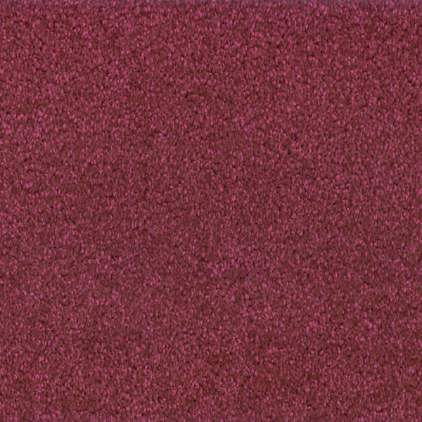 Bonaparte Kira's dream 218 400cm