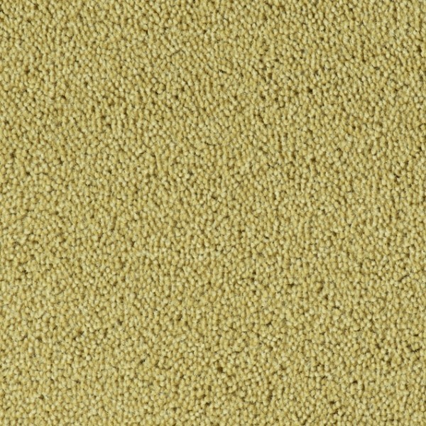 Parade Colour King 121 400cm