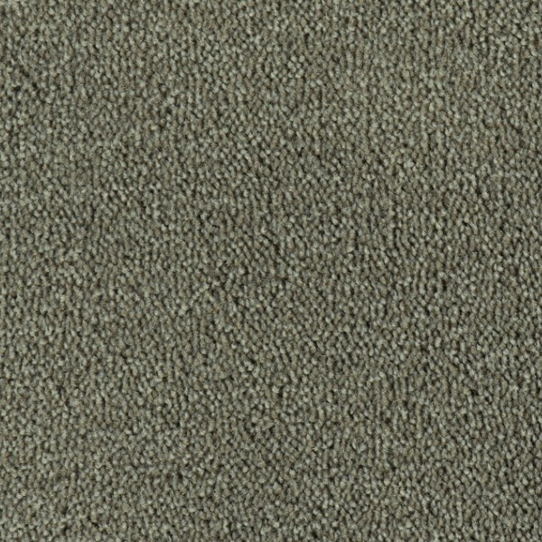 Parade Colour King 199 400cm