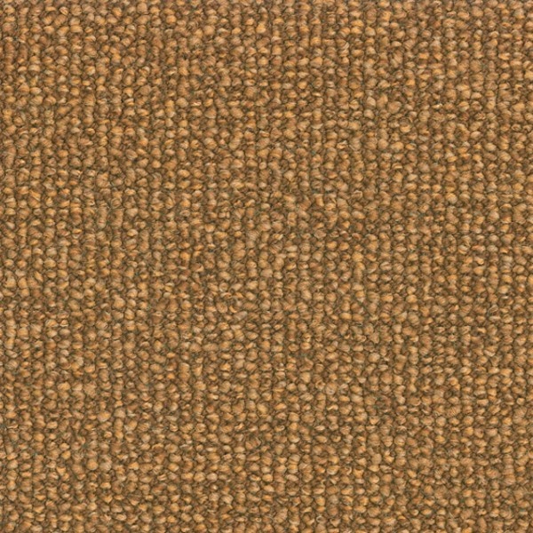 Parade Savanne 264 400cm