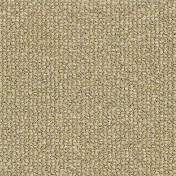Parade Savanne 273 400cm