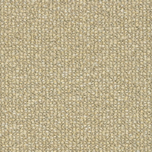Parade Savanne 276 400cm