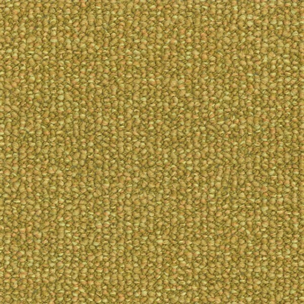 Parade Savanne 282 400cm