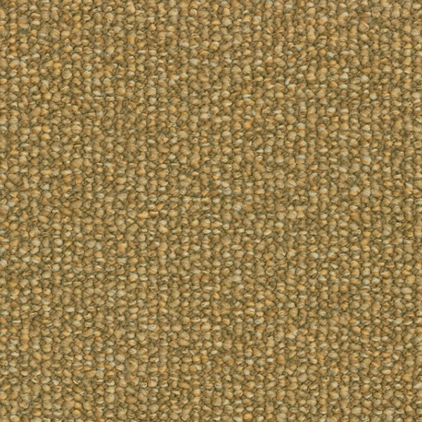 Parade Savanne 284 400cm