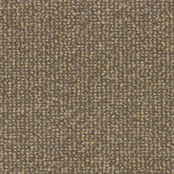 Parade Savanne 293 400cm