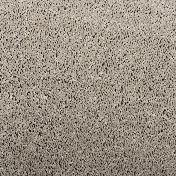 Parade Touch 171 500cm
