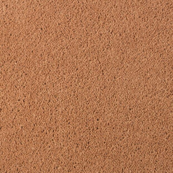 Desso Asteranne 2055 400cm
