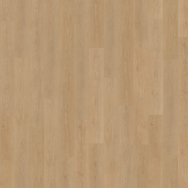 Belakos Monastro 930 rechte plank rigid click