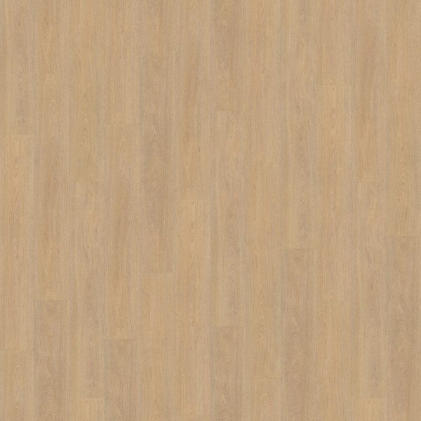 Belakos Terreno 610 rechte plank dryback