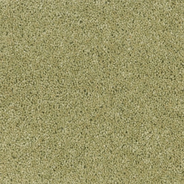 Desso Excellent 220 400cm