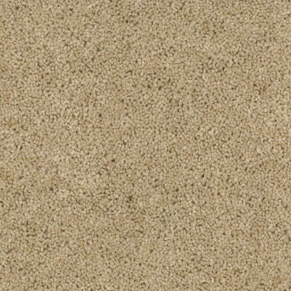 Desso Excellent 270 400cm