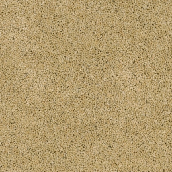 Desso Excellent 273 400cm