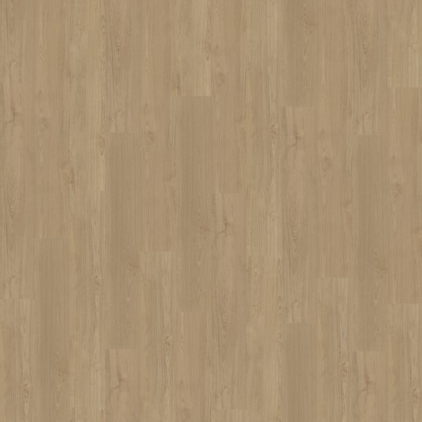 Belakos Portico 540 rechte plank dryback