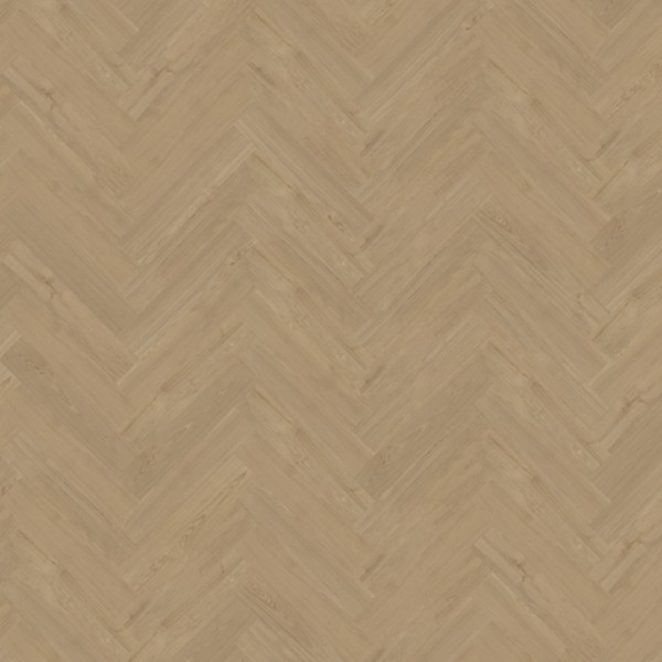 Belakos Portico 54 visgraat XL dryback