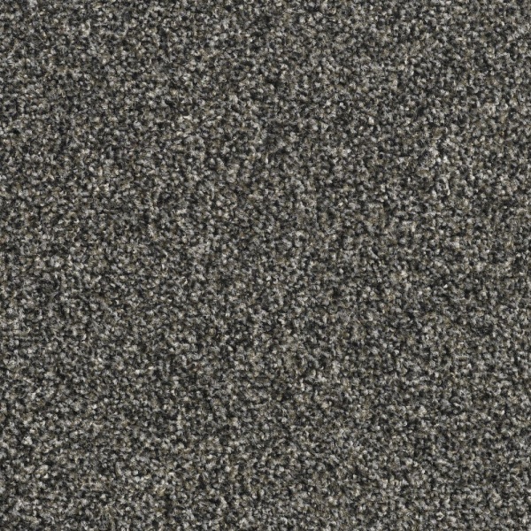 BTS droogloopmat Buffalo kleur 74 200cm