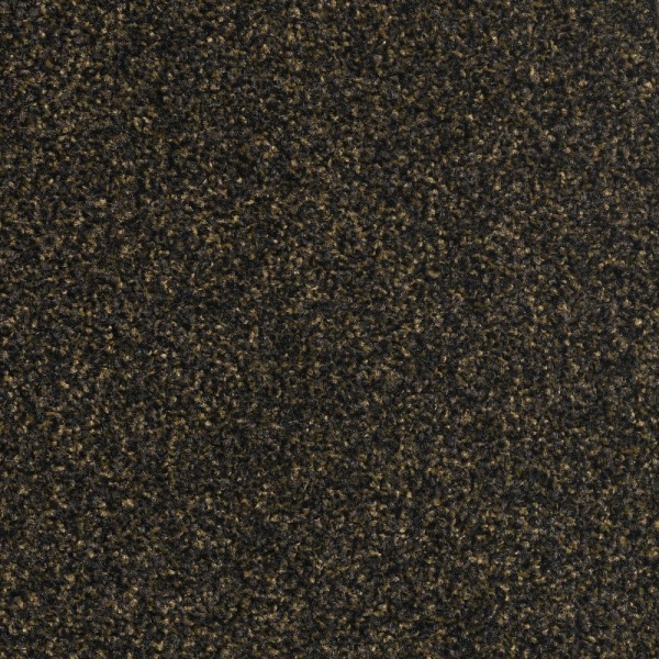 BTS droogloopmat Buffalo kleur 93 200cm