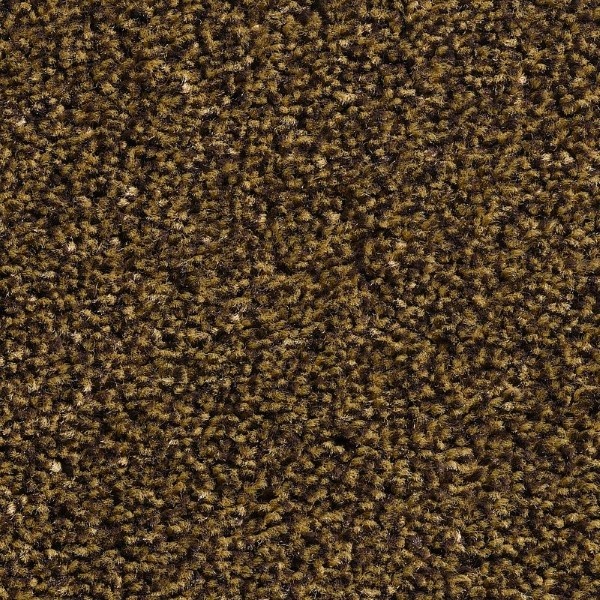 BTS droogloopmat Byson kleur 65 200cm