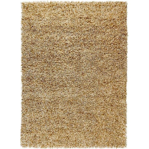 Brinker Massimo Sunflower 200x300