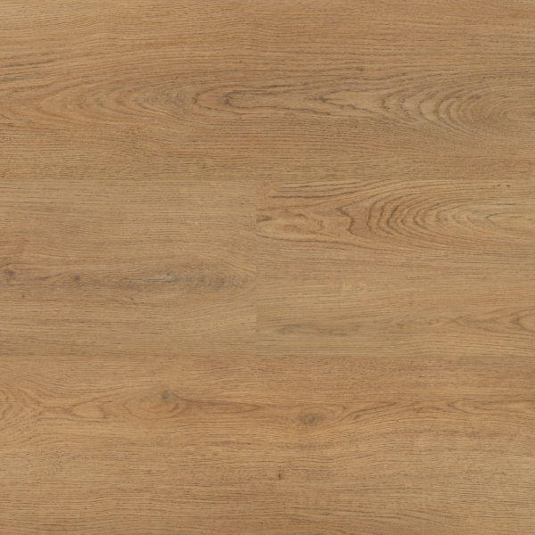 Montinique Chablis XL plank 55859 Rigid Click