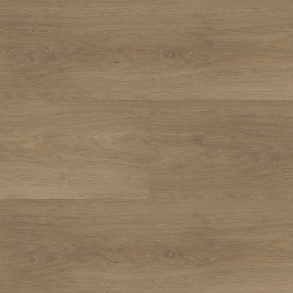 Montinique Chapelle XL plank 55841 Rigid Click